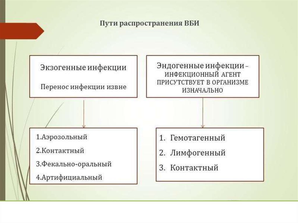 Естественный механизм передачи исмп. Пути распространения экзогенной инфекции. Экзогенные пути передачи инфекции. Эндогенные пути передачи внутрибольничной инфекции. Пути распространения внутрибольничной инфекции.