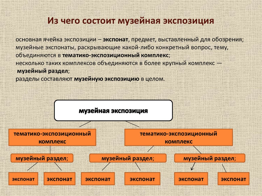 Тематико экспозиционный план школьного музея образец