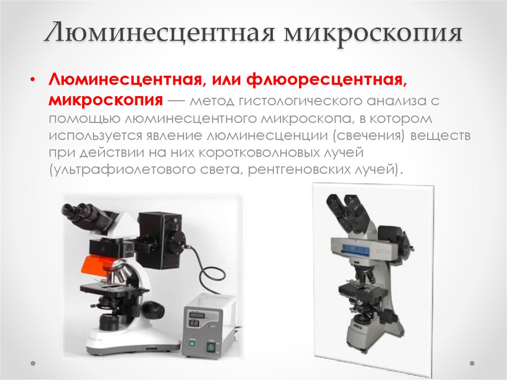 Люминесцентная микроскопия