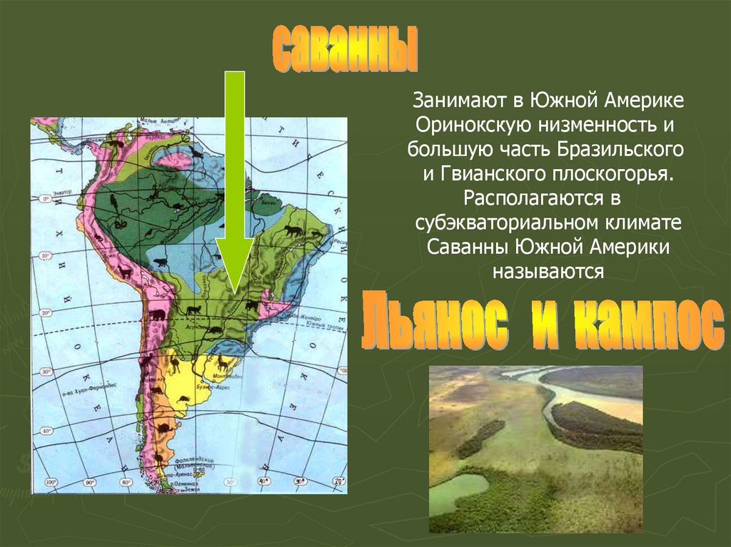 Положение южной америки в природных зонах