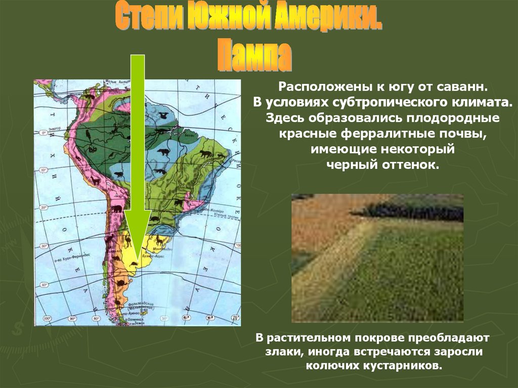Пампа природная зона южной америки. Пампа в Южной Америке это зона. Природные зоны Южной Америки. Карта природных зон Южной Америки. Природные зоны Южной Америки 7 класс.