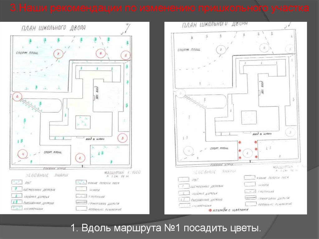 План схема пришкольного участка