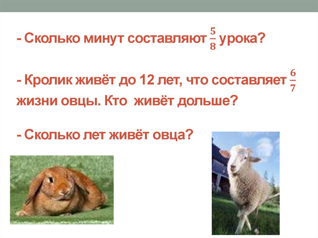 - Сколько минут составляют 5/8 урока? - Кролик живёт до 12 лет, что составляет 6/7 жизни овцы. Кто живёт дольше? - Сколько лет