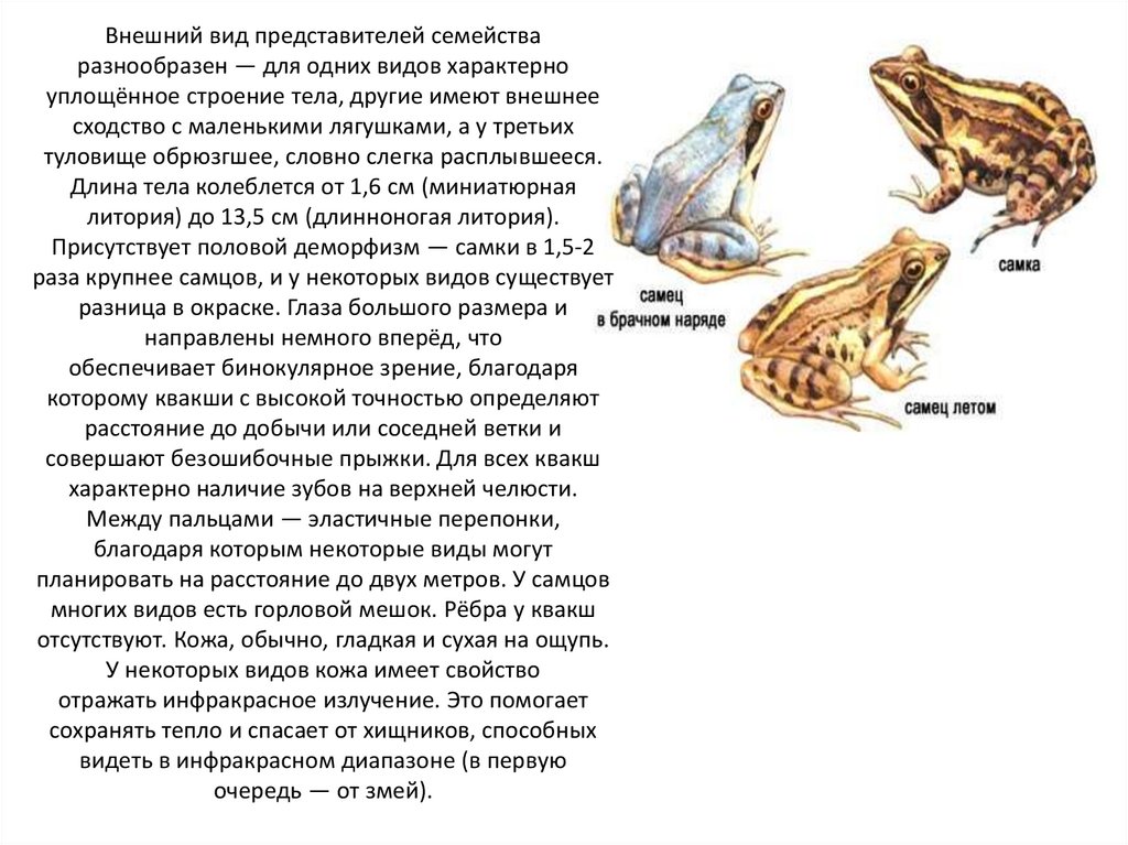 Имеет и внешний