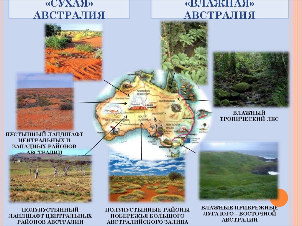 Австралия презентация подготовительная группа