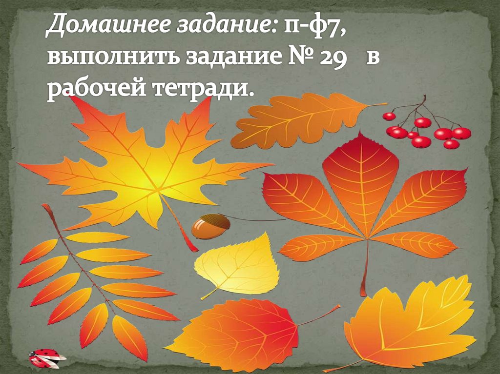 Домашнее задание: п-ф7, выполнить задание № 29 в рабочей тетради.