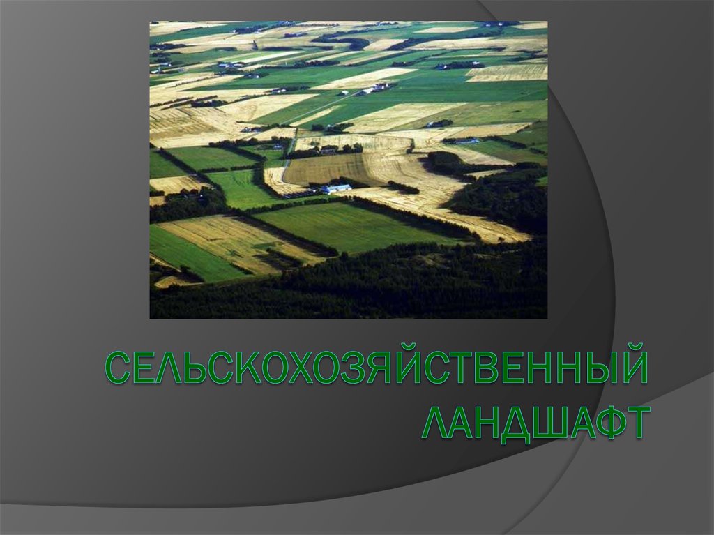 Природно антропогенный объект. Антропогенный ландшафт. Антропогенный ландшафт это в географии. Культурные антропогенные ландшафты. Городской ландшафт презентация.