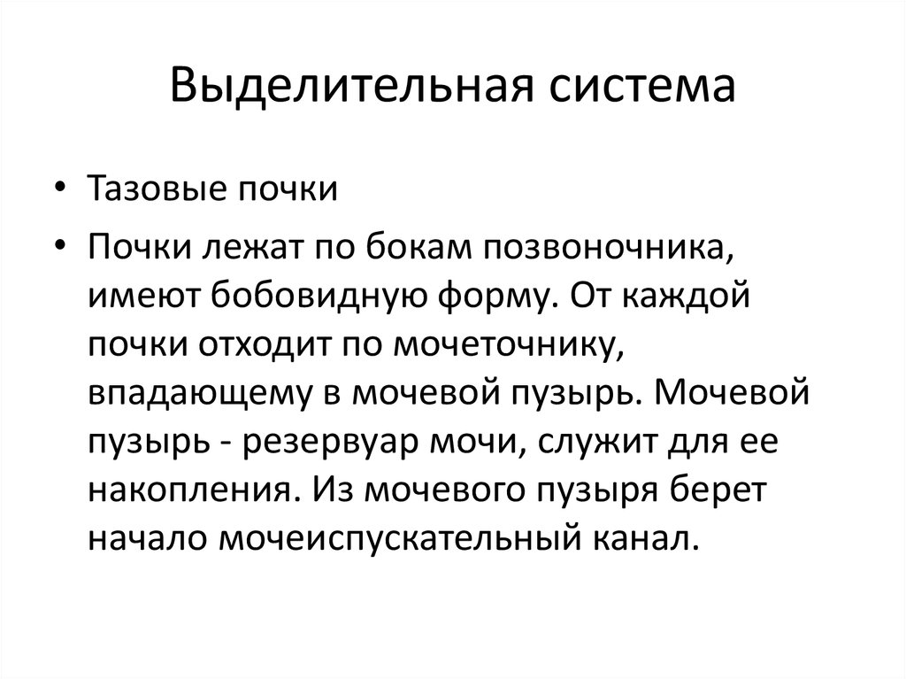 Выделительная система