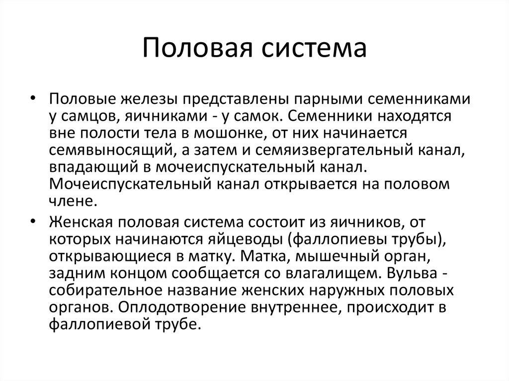 Половая система