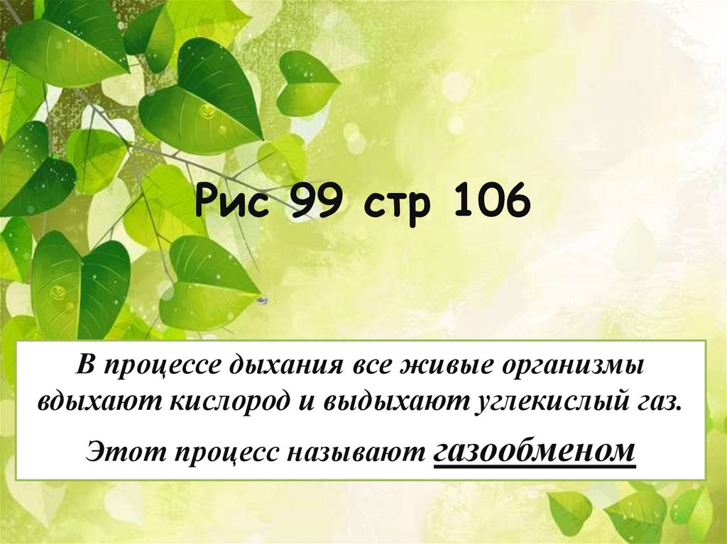 Можно ли жить и не дышать презентация 5 класс