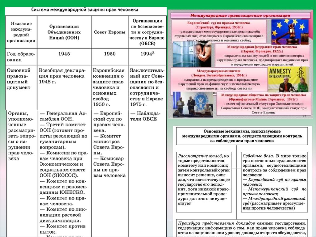 Система международной защиты прав человека план