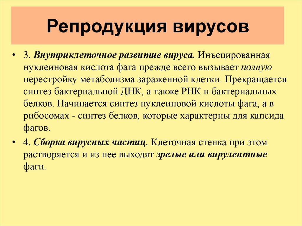 Репродукция вирусов. Для репродукции вирусов характерно:. Дизъюнктивная репродукция вирусов это. Первая стадия репродукции вируса характеризуется. Репродукция это в биологии.