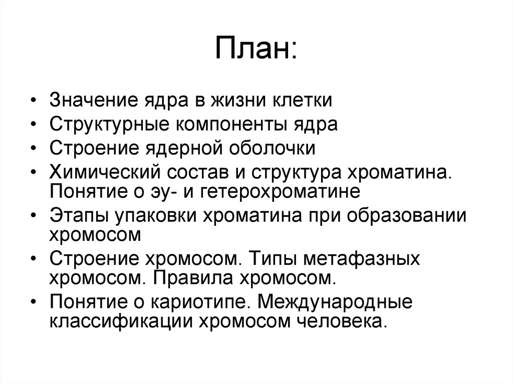 Значение ядра. Значение ядра в клетке. Значимость ядра. Какое значение ядра.