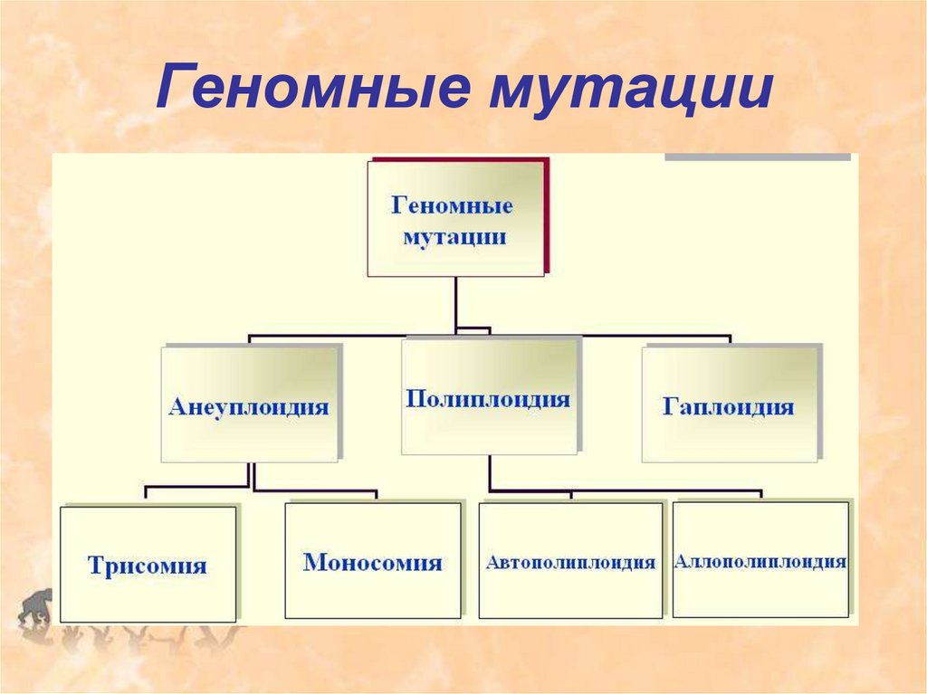 Геномные мутации рисунок