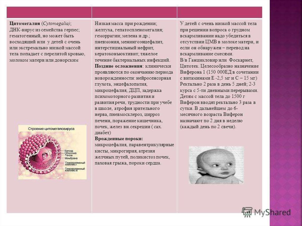 Цмв при беременности. Цитомегаловирусная инфекция плода. Внутриутробные инфекции плода. Внутриутробные инфекции у детей. Внутриутробная герпетическая инфекция.