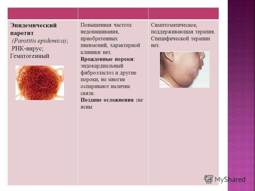 Вирус цитомегалии и эпидемического паротита при заражении. Эпидемический паротит Свинка профилактика. Осложнения эпид паротита. Эпидемический паротит осложнения.