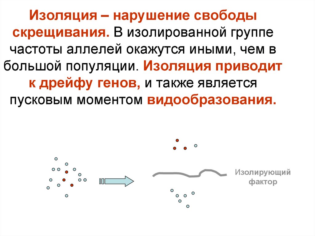 Изоляция эволюционный фактор презентация