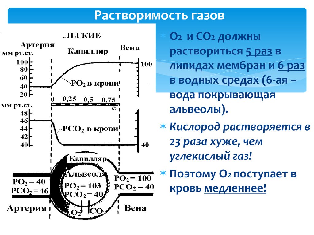 Кислород растворяется. Растворимость со2 в воде. Растворимость кислорода. Растворимость в воде газов от со2 и со?. Растворимость со2 от давления.