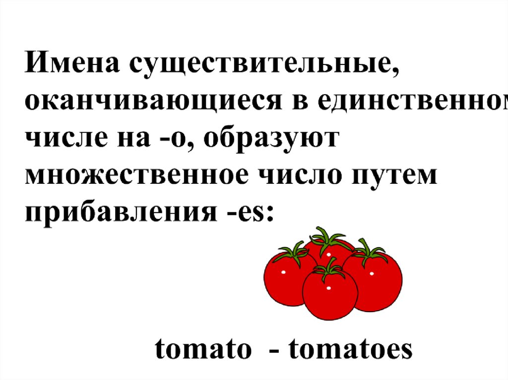 Выбери множественное число. Tomato множественное число.