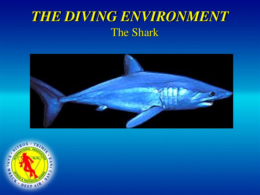 THE DIVING ENVIRONMENT