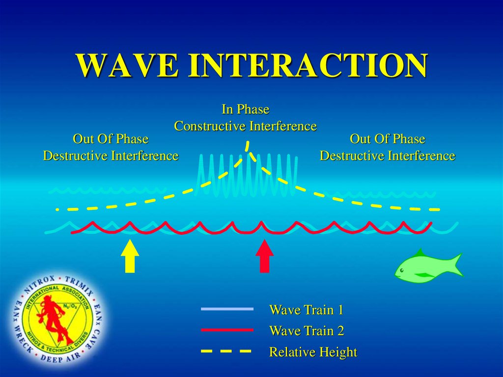 WAVE INTERACTION