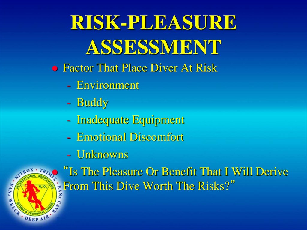 RISK-PLEASURE ASSESSMENT