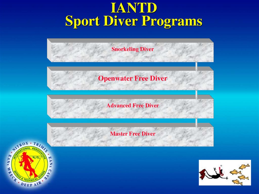 IANTD Sport Diver Programs