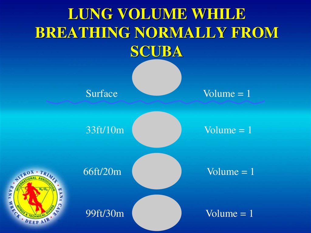 LUNG VOLUME WHILE BREATHING NORMALLY FROM SCUBA