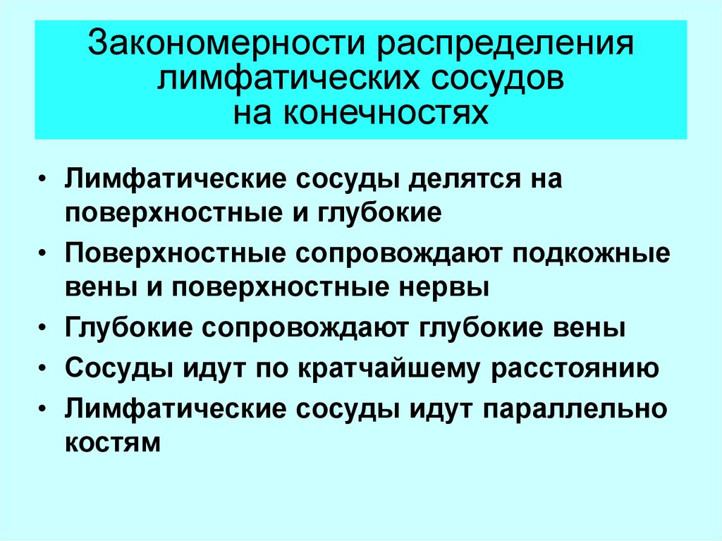 Закономерность расположения. Закономерности расположения лимфатических узлов. Классификация лимфатических сосудов и узлов. Закономерности расположения лимфатических сосудов. Закономерности расположения лимфатических сосудов и узлов.