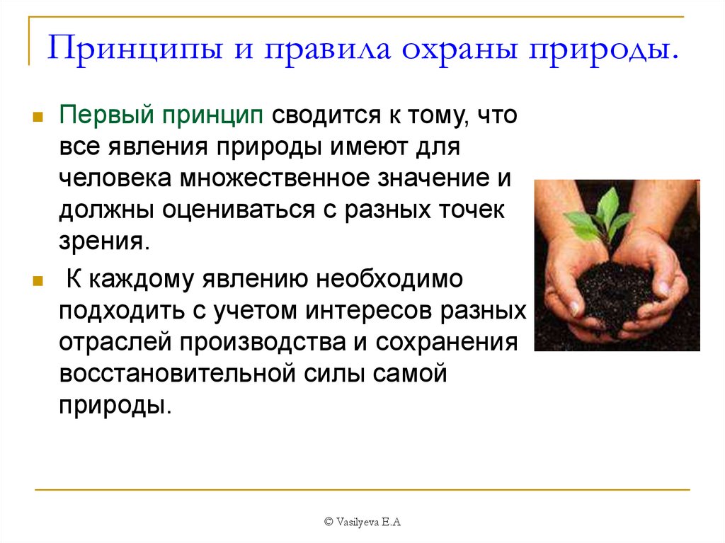 Природные принципы. Основной принцип охраны природы. Перечислите основные правила и принципы охраны природы.. Меры по защите и охране природы. Краткая характеристика правил и принципов охраны природы.