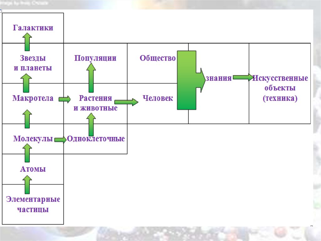 Окружающий мир как иерархическая система 9 класс презентация