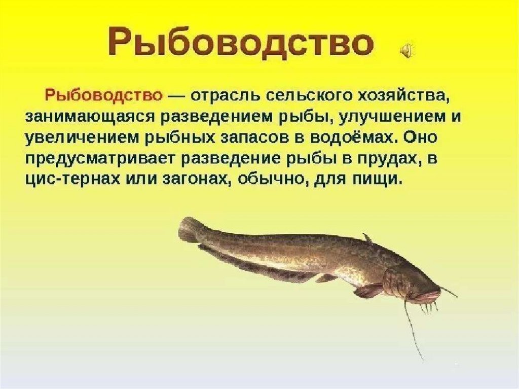 Рыбное хозяйство презентация