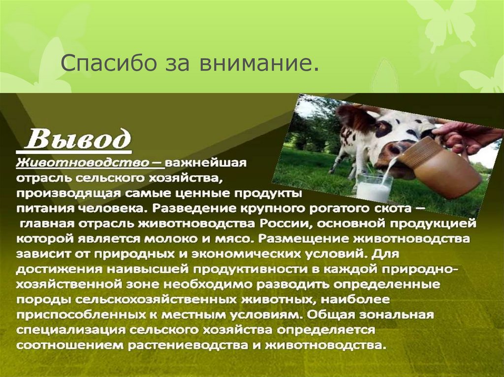 Какие направления имеет скотоводство 3. Презентация отрасли животноводства. Животноводство 3 класс презентация. Проект отрасли животноводства. Животноводство вывод.