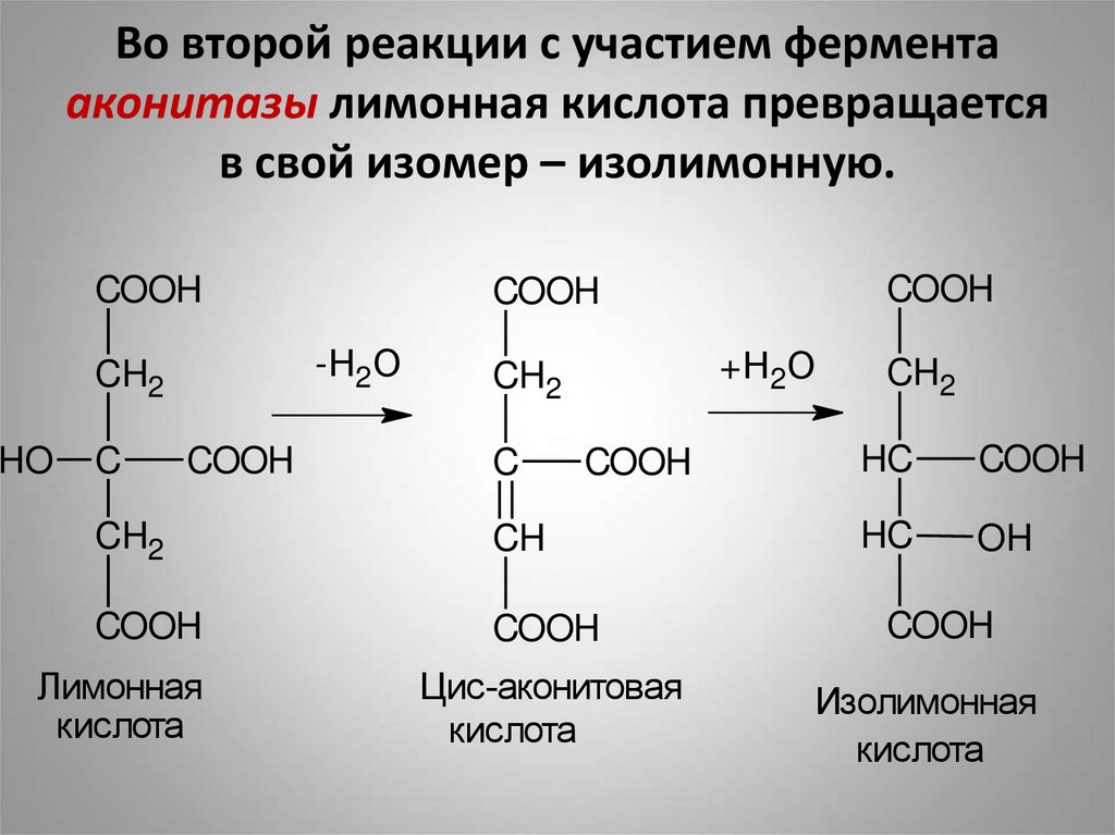 Изомерия реакции. Лимонная кислота аконитовая кислота. Лимонная кислота → изолимонная кислота реакция. Изолимонная кислота стереоизомеры. Лимонная кислота формула Синтез.