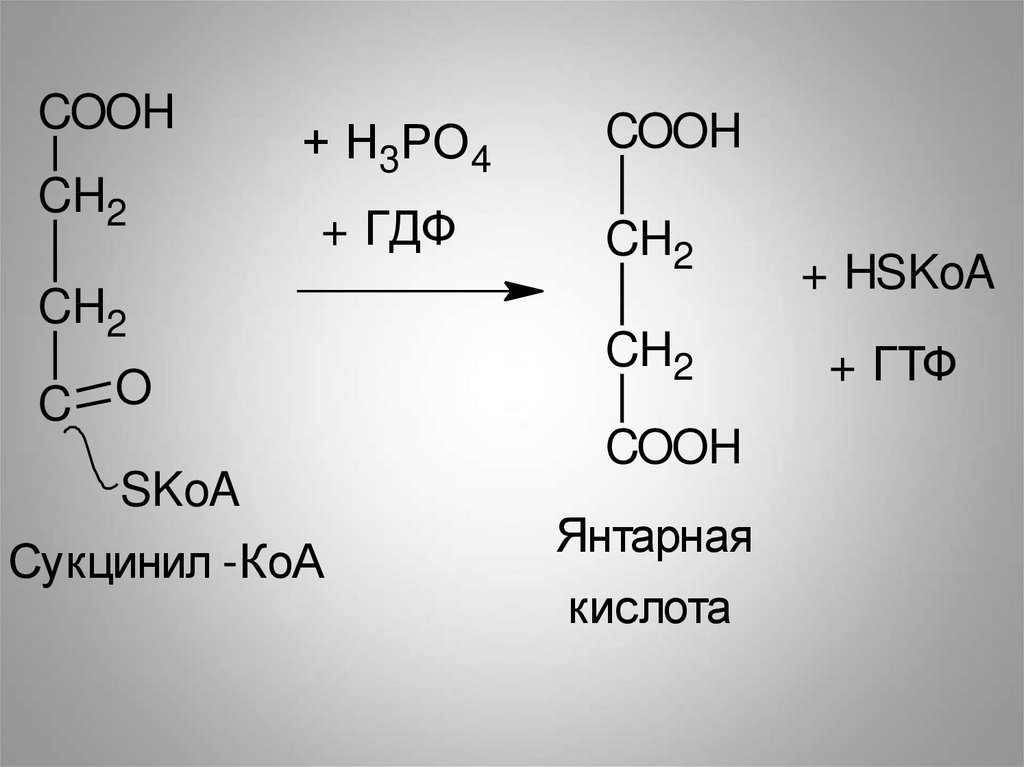 4 этап окисления глюкозы