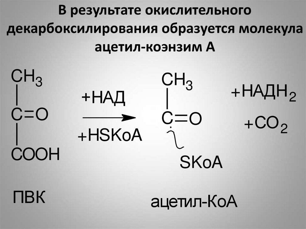 Ацетил