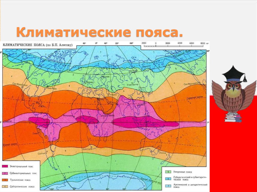 Классификация алисова карта