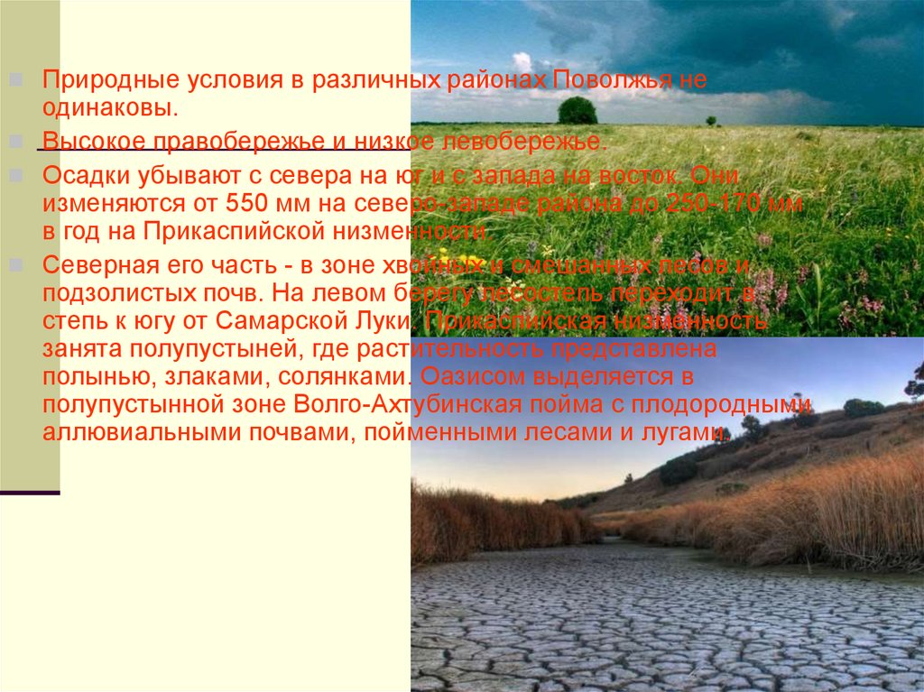 Растительность поволжья. Природные условия района Поволжье. Природные условия Поволжского района. Поволжье осадки.