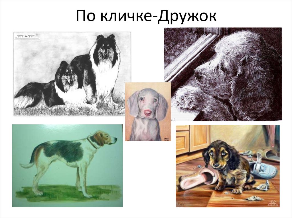 Собака по кличке дружок