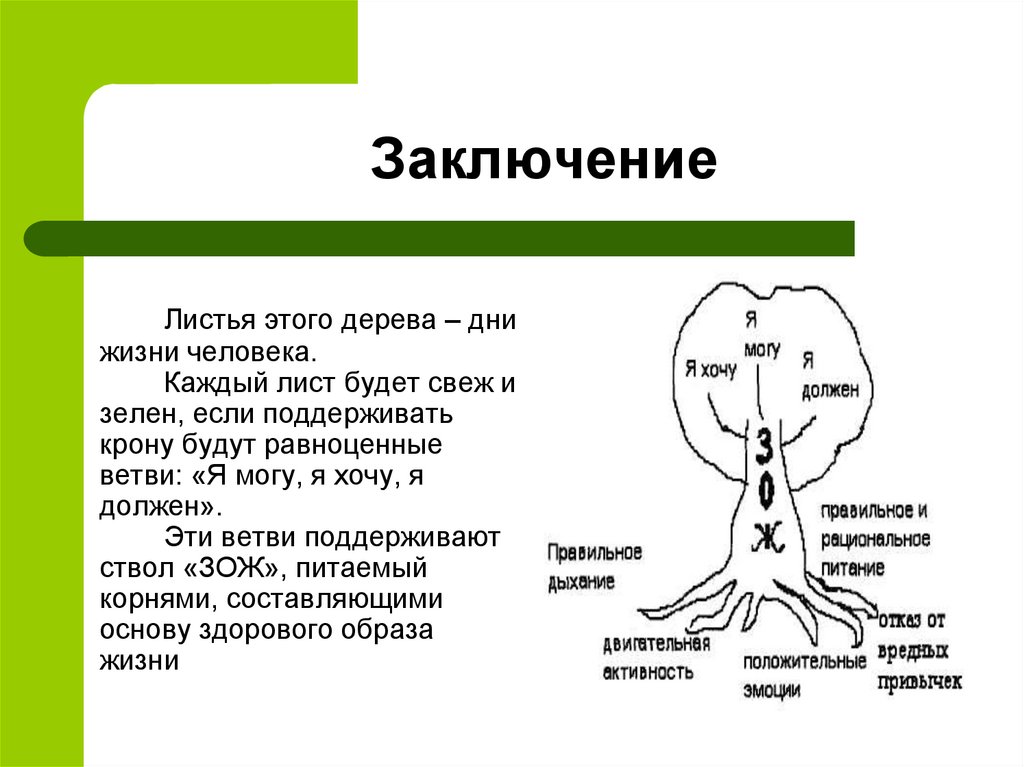 Вывод древесины. Вывод лист это. Вывод к листу здоровья. Истина и листик это. Если зеленое и шевелится это биология.