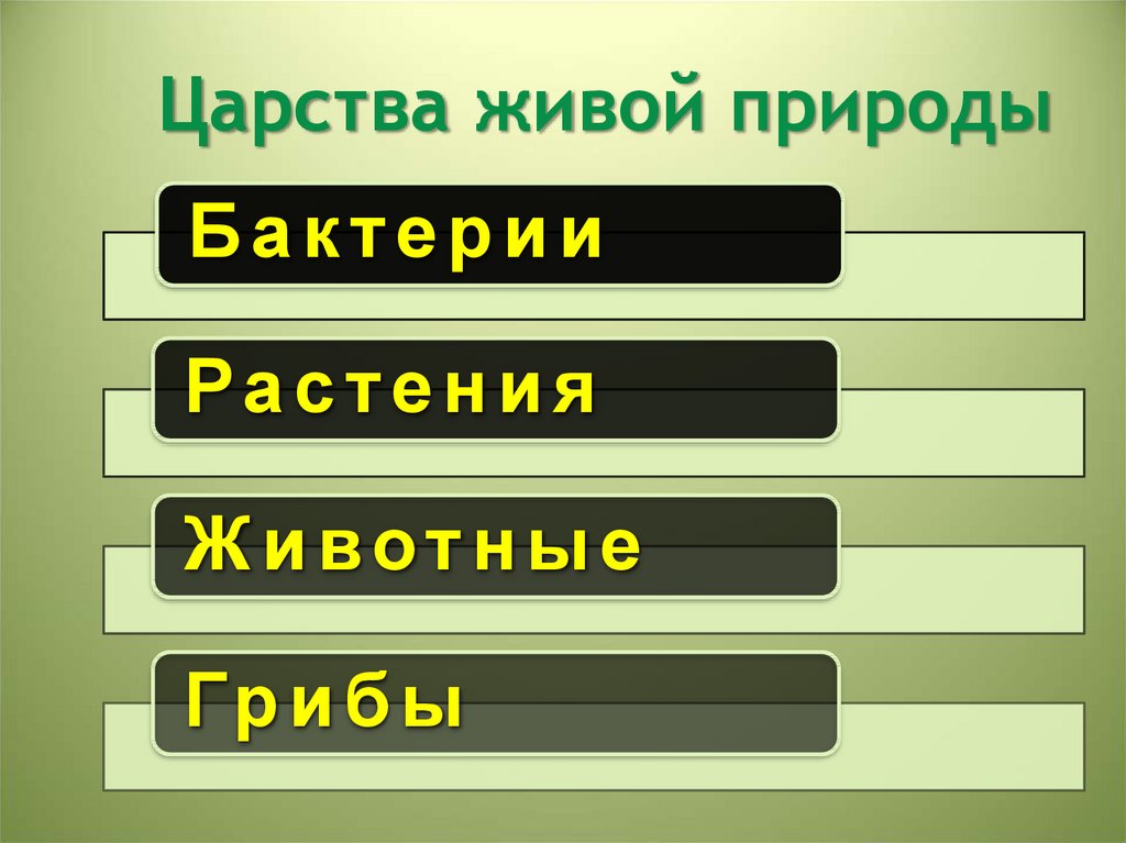 Царство живой природы бактерии. Таблица царства живой природы. Царство природы 6 класс. Царства живой природы 6 класс. Царства живой природы таблица 6 класс.