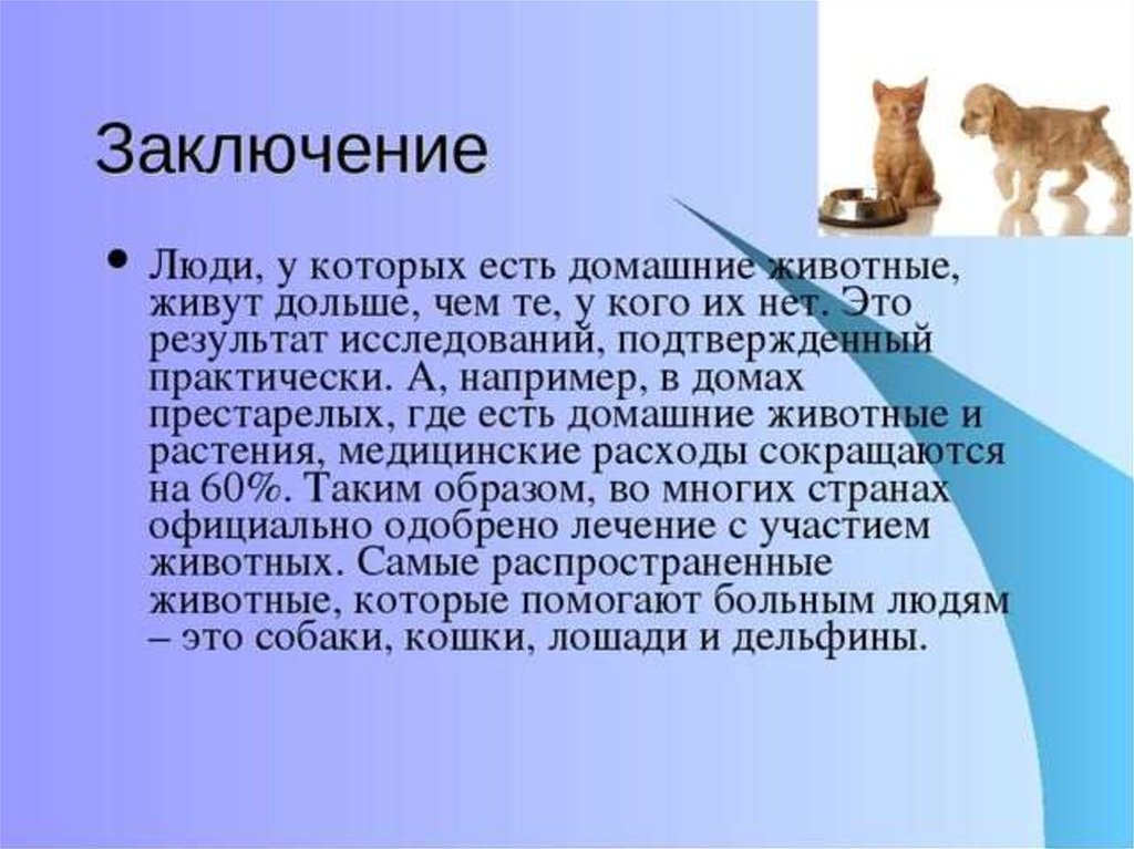 Исследовательский проект домашние питомцы