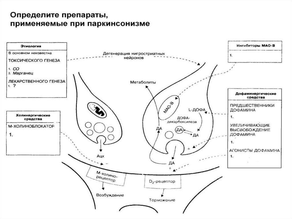 Противоэпилептические препараты фармакология презентация