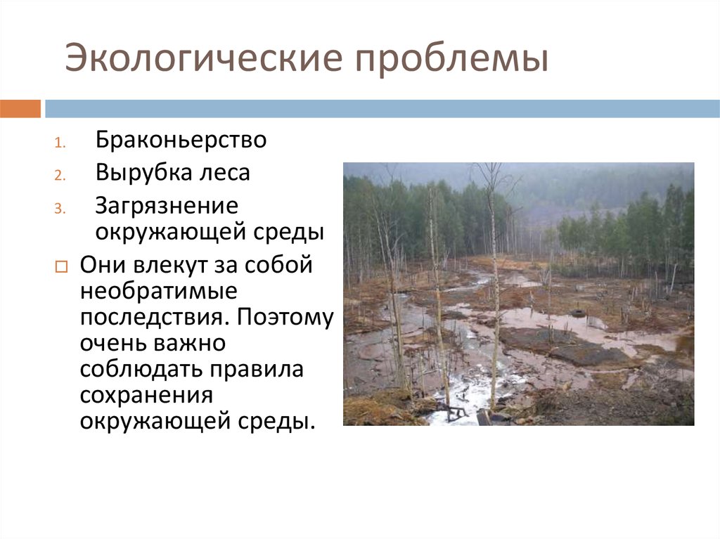 Глубокие необратимые изменения окружающей среды. Вырубка леса экологическая проблема. Экологические проблемы Лема. Экологические проблемы браконьерство вырубка лесов. Экологические проблемы в лесу.