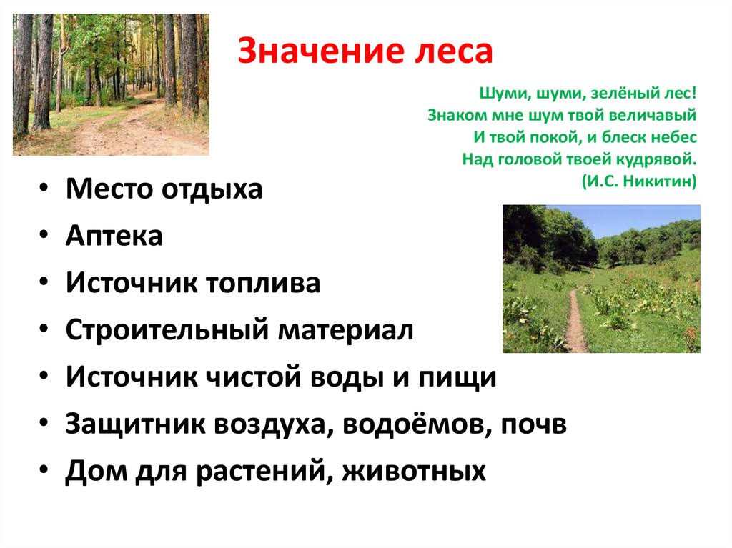 Означает лес. Значение лесов. Значение леса. Значение леса место отдыха. Значение лесов презентация.