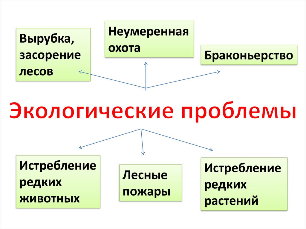 Лес волшебный дворец 3 класс. Лес Волшебный дворец 3 класс окружающий мир презентация. Неумеренная или не умеренная. Неумеренный.