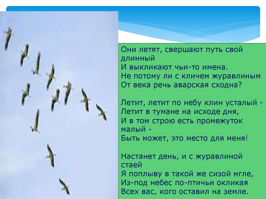 Повидал немало на своем веку. Летит летит по небу Клин. Летит летит по небу Клин стихотворение. Летит Клин усталый. Они летят свершают путь свой длинный и выкликают чьи-то имена.