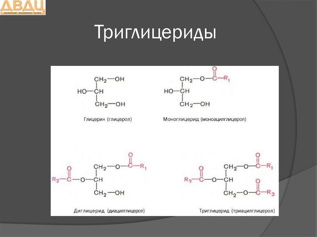 Триглицериды что это такое. Триглицериды. Триглицериды строение. Строение триглицеридов. Триглицериды биохимия.