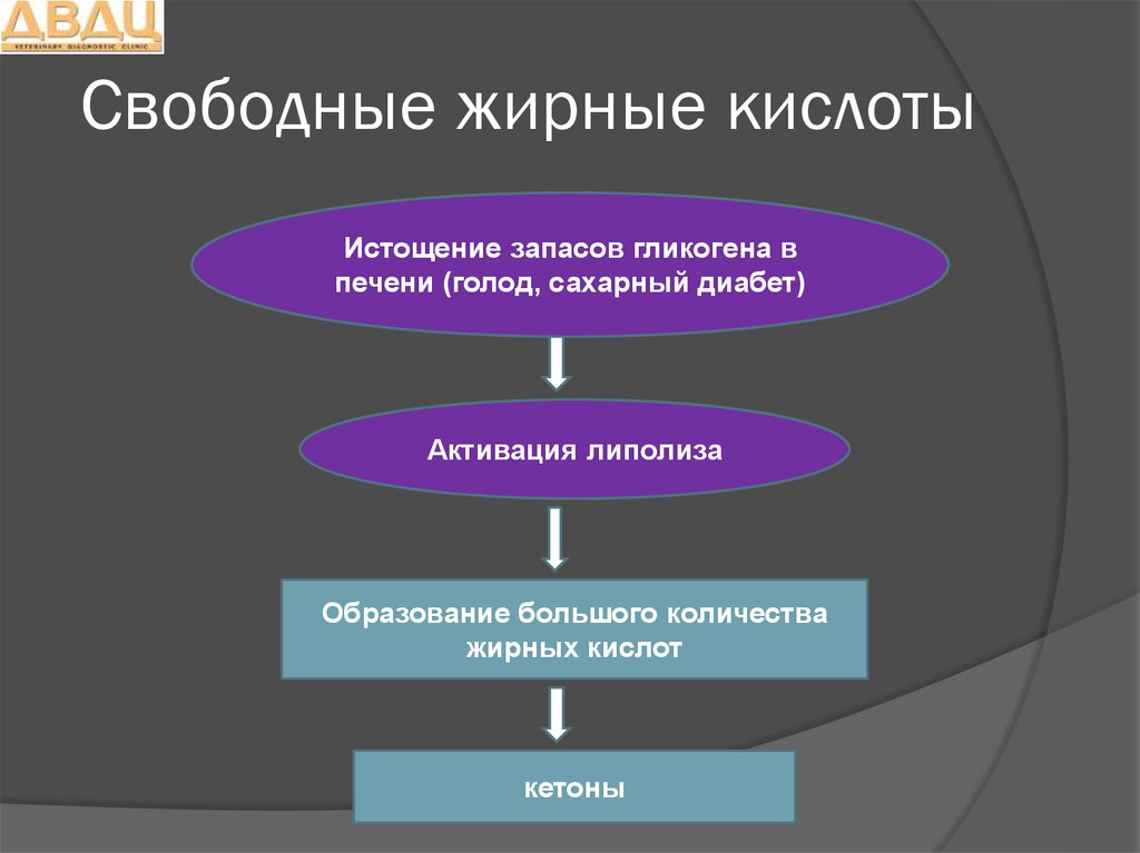 Свободная кислота. Свободные жирные кислоты. Несвободные жирные кислоты. СЖК свободные жирные кислоты. Структура свободных жирных кислот.