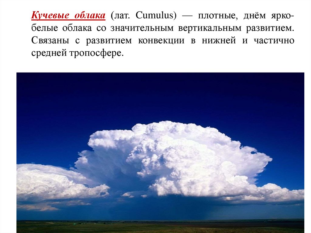 Плывут кучевые болонки над нами. Облака кумулонимбус кучево-дождевые. Кучево-дождевые облака вертикального развития. Кучево дождевые тучи. Неживая природа облака.